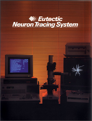 Eutectic Neuron